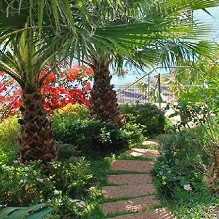 Casa Do Papagaio 3* Funchal (Madeira)