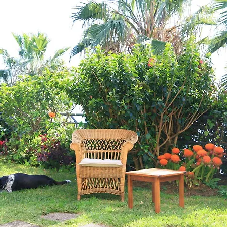 Casa Do Papagaio Pensión 3*